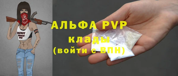 ешки Алексин