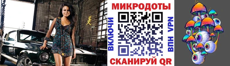 Галлюциногенные грибы Psilocybe  Княгинино 